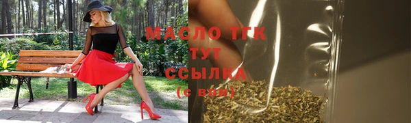 трава Ельня
