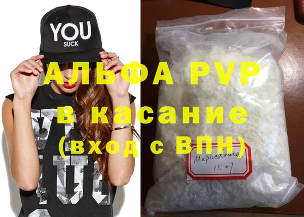 крисы Алзамай