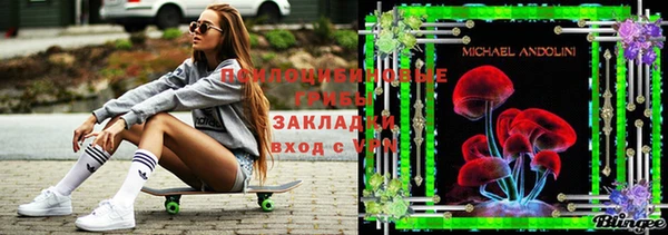 крисы Алзамай