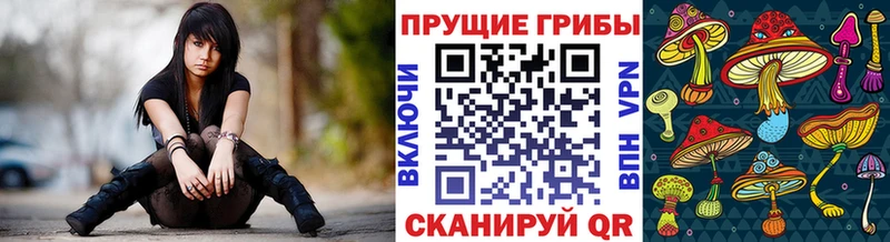 где продают наркотики  Чишмы  Галлюциногенные грибы мухоморы 